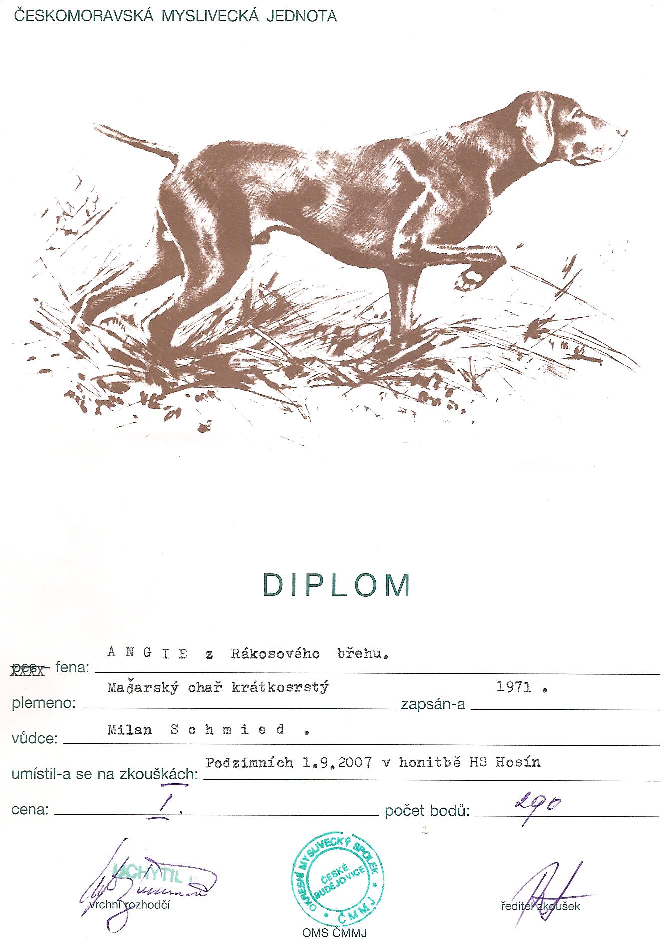 Diplom PZ
